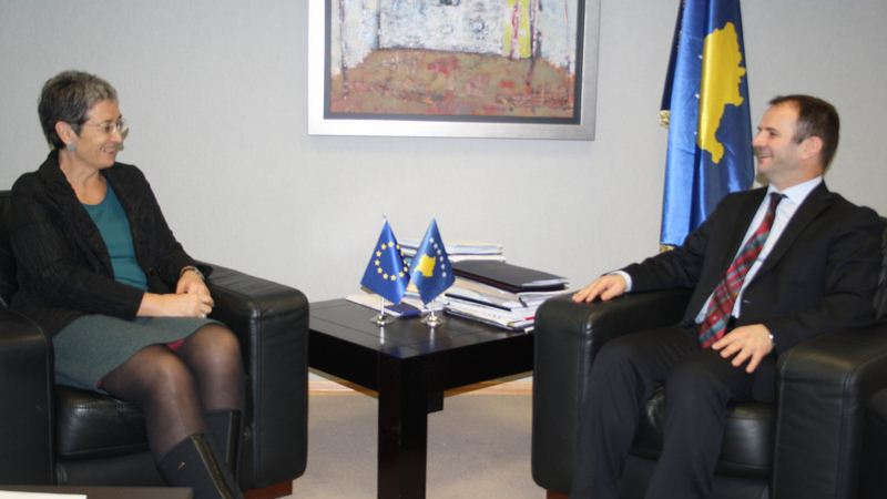 Kuçi met with MEP Lunacek