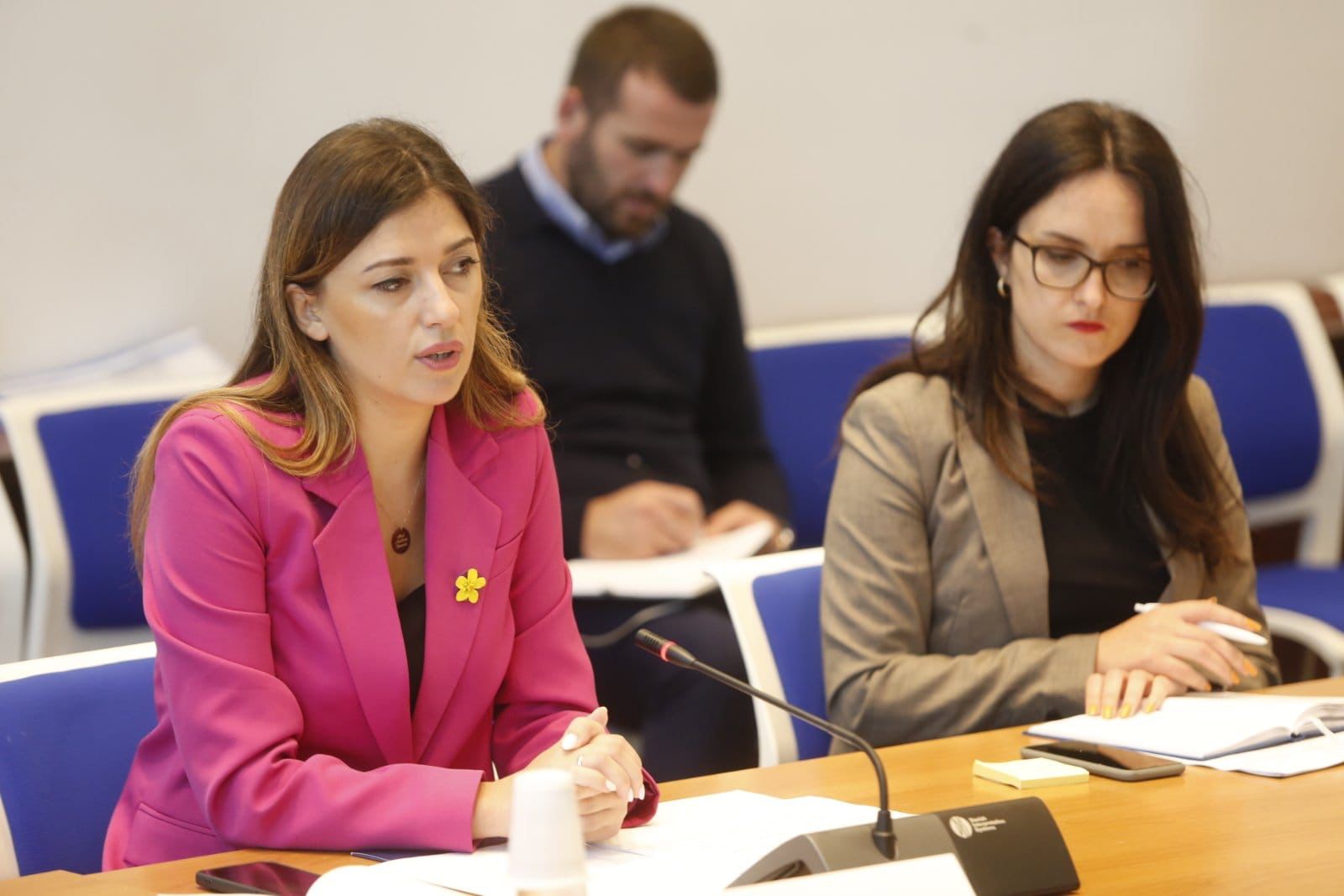 Ministrja Haxhiu prezantoi në Komisionin për Legjislacion, Projektligjin për Institutin për Krimet e kryera gjatë luftës në Kosovë