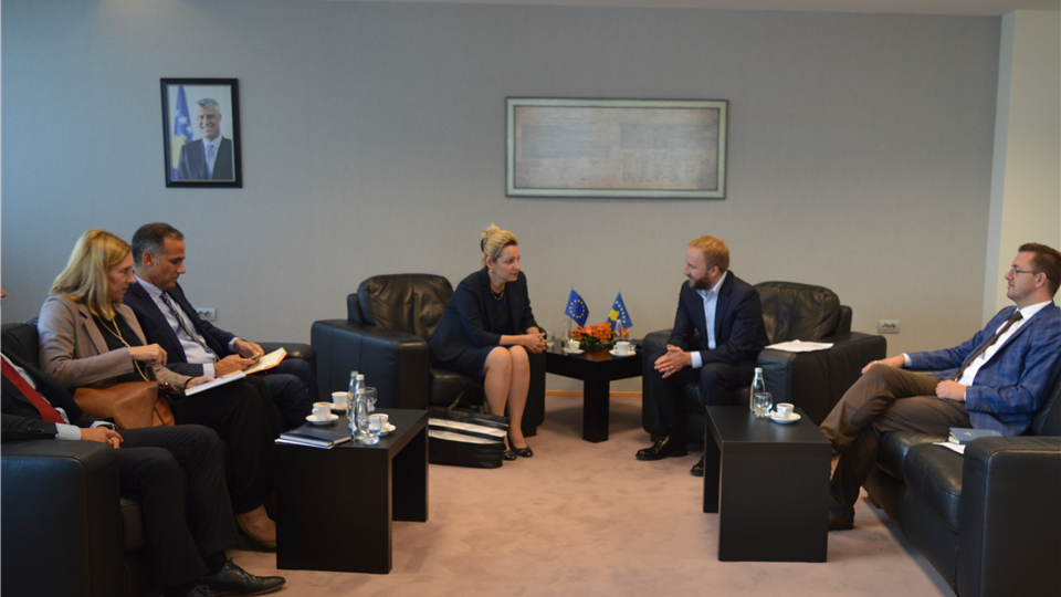 Minister Tahiri met the Head of the European Union Office, Ms. Apostolova