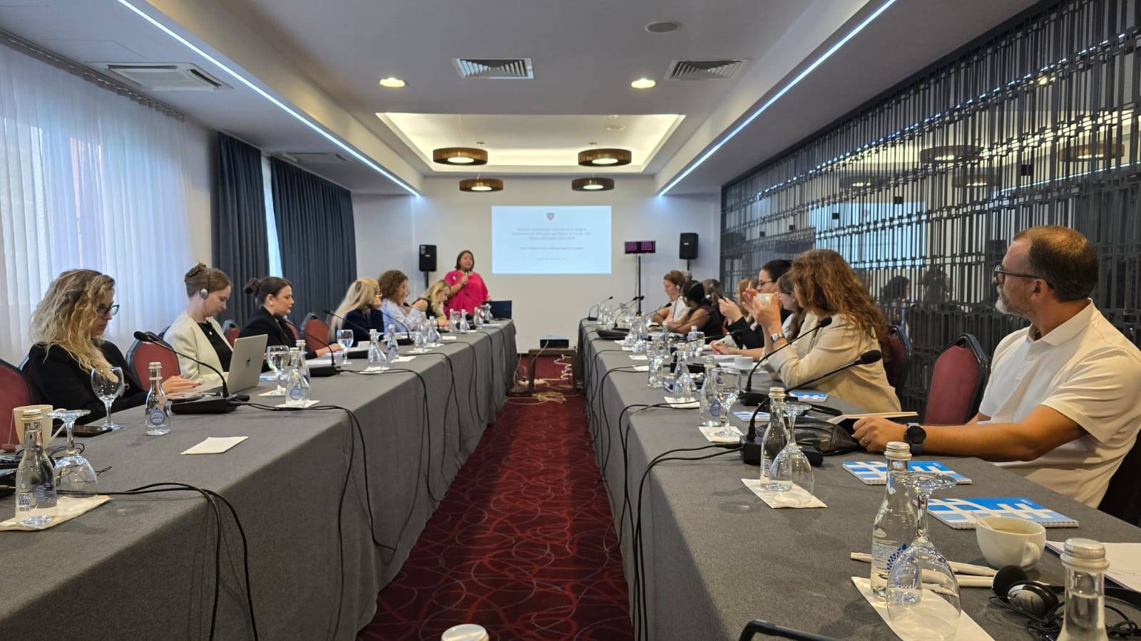 Nastavlja se proces srednjoročne procene Akcionog plana Nacionalne Strategije za Zaštitu od Nasilja u Porodici i Nasilja nad Ženama 2022-2026